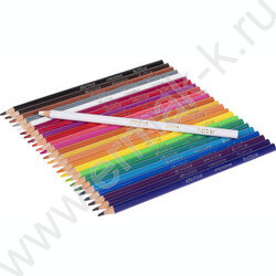 Карандаши пластиковые стираемые 24цв  + 1 карандаш-ластик Art-Mate /карт. короб. с европодвесом NEW | Фото 4