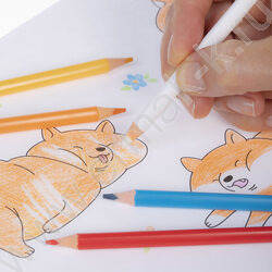 Карандаши пластиковые стираемые 24цв  + 1 карандаш-ластик Art-Mate /карт. короб. с европодвесом NEW | Фото 8