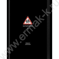 Дневник 1-11кл. /тв.обл./глянец/резинка "Забавный дизайн на чёрном-5" NEW | Фото 2