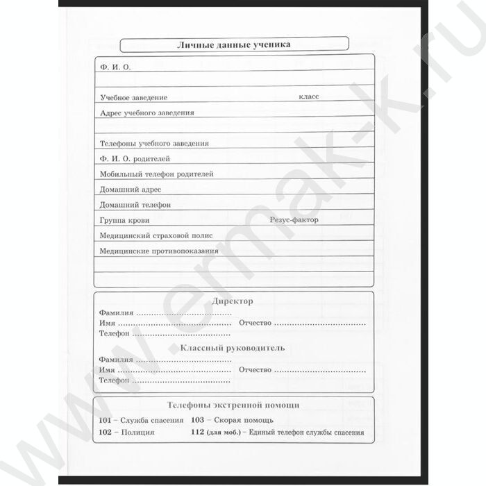 Дневник 1-11кл. /тв.обл./глянец/поролон "Забавный дизайн на чёрном-11" | Фото 4