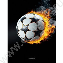 Дневник 1-11кл. /тв.обл./мат.лам./лен "Футбольный мяч-25" NEW | Фото 1