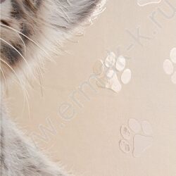 Дневник 1-4кл. /тв.обл./выб.лак/резинка "Кошачий детеныш" NEW | Фото 8