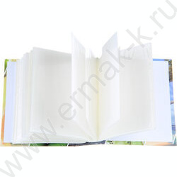 Фотоальбом /100фот./ 10*15 ПП карм. NEW | Фото 5