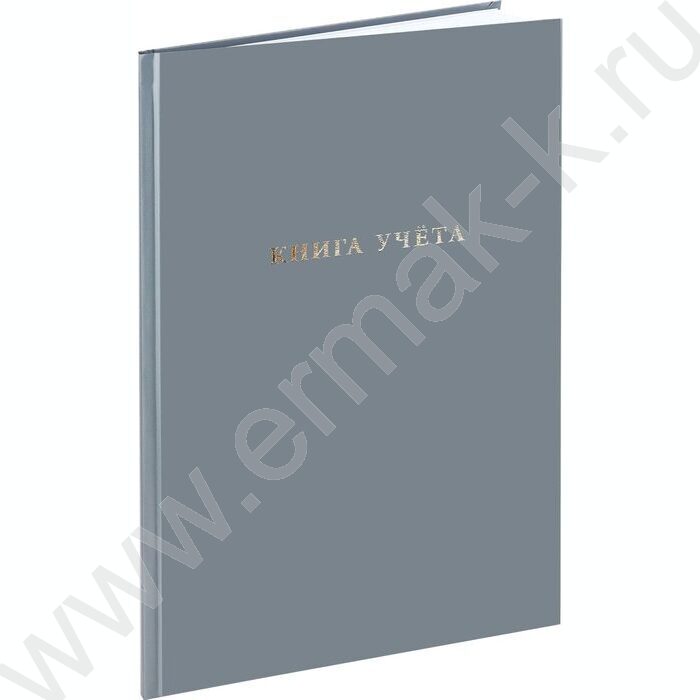 Книга Учёта  96л клетка б/вин Серый | Фото 1