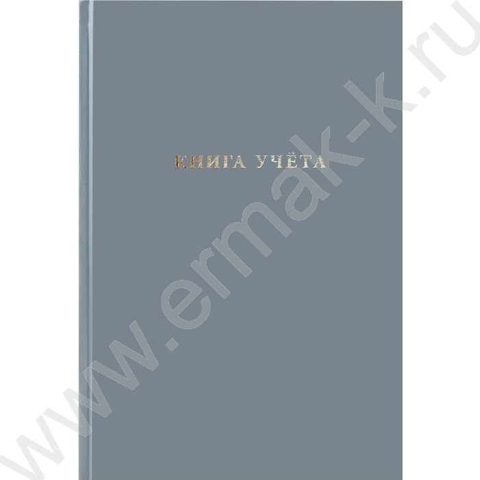 Книга Учёта  96л клетка б/вин Серый | Фото 2