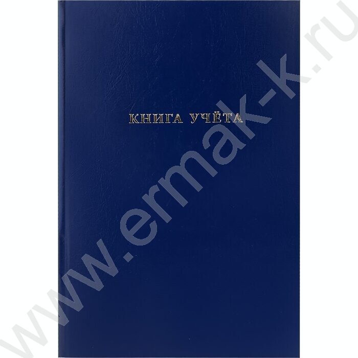 Книга Учёта  96л клетка б/вин Синий | Фото 2