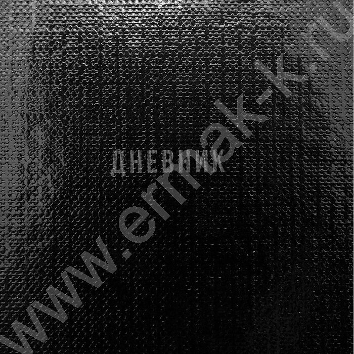 Дневник 1-11кл. /тв.обл./глянец/лен "В черном цвете-1" | Фото 8