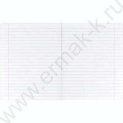 Тетрадь  12л линейка "Герои с характером" /выборочный  УФ-лак/ ассорти NEW | Фото 3