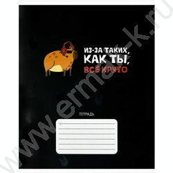 Тетрадь  24л клетка "Герои с характером" /выборочный  УФ-лак/ ассорти NEW | Фото 2