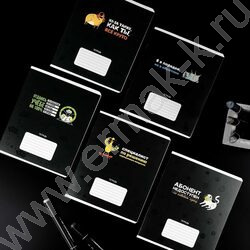 Тетрадь  24л клетка "Герои с характером" /выборочный  УФ-лак/ ассорти NEW | Фото 6