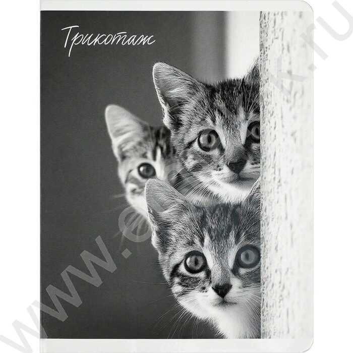 Тетрадь  48л клетка "Монохромные коты" /выб.ТВИН-лак/ ассорти NEW | Фото 2