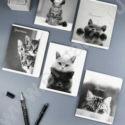 Тетрадь  48л клетка "Монохромные коты" /выб.ТВИН-лак/ ассорти NEW | Фото 6