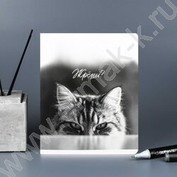 Тетрадь  48л клетка "Монохромные коты" /выб.ТВИН-лак/ ассорти NEW | Фото 8