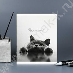 Тетрадь  48л клетка "Монохромные коты" /выб.ТВИН-лак/ ассорти NEW | Фото 9