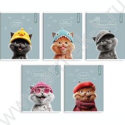 Тетрадь  48л клетка "Коты в школе" /выб.ТВИН-лак/ ассорти NEW | Фото 1