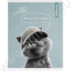 Тетрадь  48л клетка "Коты в школе" /выб.ТВИН-лак/ ассорти NEW | Фото 2