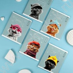 Тетрадь  48л клетка "Коты в школе" /выб.ТВИН-лак/ ассорти NEW | Фото 6