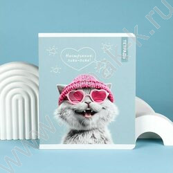 Тетрадь  48л клетка "Коты в школе" /выб.ТВИН-лак/ ассорти NEW | Фото 7