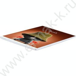 Тетрадь  48л клетка "Современные коты" /выб.ТВИН-лак/ ассорти NEW | Фото 6