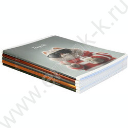 Тетрадь  48л клетка "Современные коты" /выб.ТВИН-лак/ ассорти NEW | Фото 7