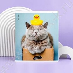 Тетрадь  48л клетка "Кот с уткой" /выб.ТВИН-лак/ ассорти NEW | Фото 8