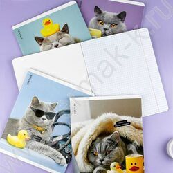 Тетрадь  48л клетка "Кот с уткой" /выб.ТВИН-лак/ ассорти NEW | Фото 9