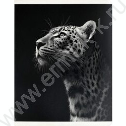 Тетрадь  48л клетка "Монохромный леопард" /выб.ТВИН-лак/ ассорти NEW | Фото 2