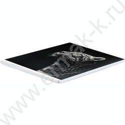 Тетрадь  48л клетка "Монохромный леопард" /выб.ТВИН-лак/ ассорти NEW | Фото 6