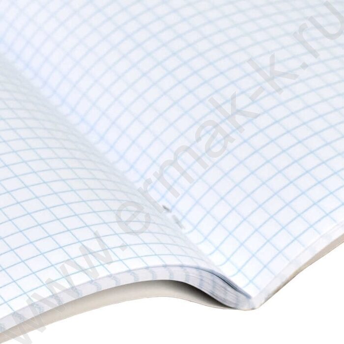 Тетрадь  48л клетка "Фразы с характером" /выб.ТВИН-лак/ ассорти NEW | Фото 4