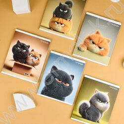 Тетрадь  48л клетка "Котяры" /конгрев + выборочный ТВИН УФ-лак/ ассорти NEW | Фото 6