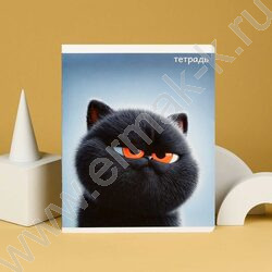 Тетрадь  48л клетка "Котяры" /конгрев + выборочный ТВИН УФ-лак/ ассорти NEW | Фото 9
