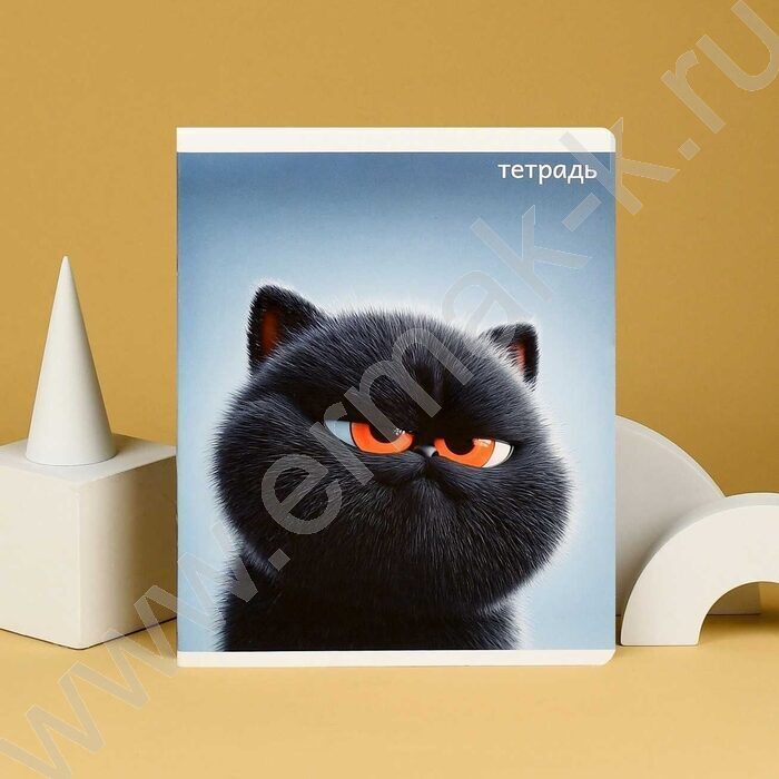 Тетрадь  48л клетка "Котяры" /конгрев + выборочный ТВИН УФ-лак/ ассорти NEW | Фото 9