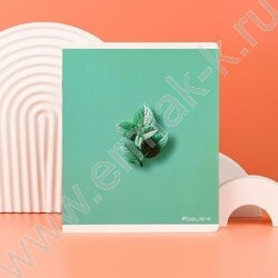 Тетрадь  48л клетка "Вкусные цвета" /конгрев + выборочный ТВИН УФ-лак/ ассорти NEW | Фото 8