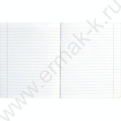 Тетрадь  48л линейка "Гранж" /выб.ТВИН-лак/ ассорти NEW | Фото 3