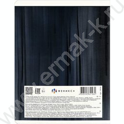 Тетрадь  48л линейка "Гранж" /выб.ТВИН-лак/ ассорти NEW | Фото 5