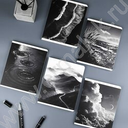 Тетрадь  96л клетка "Сила природы" /мат.лам/ ассорти NEW | Фото 6