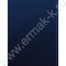 Дневник 1-11кл. /тв.обл./глянец/тиснение холст "Герб России-12" NEW | Фото 8