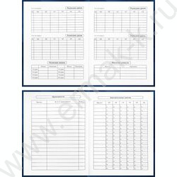 Дневник 5-11кл. /тв.обл./глянец "Герб и флаг-4" NEW | Фото 5