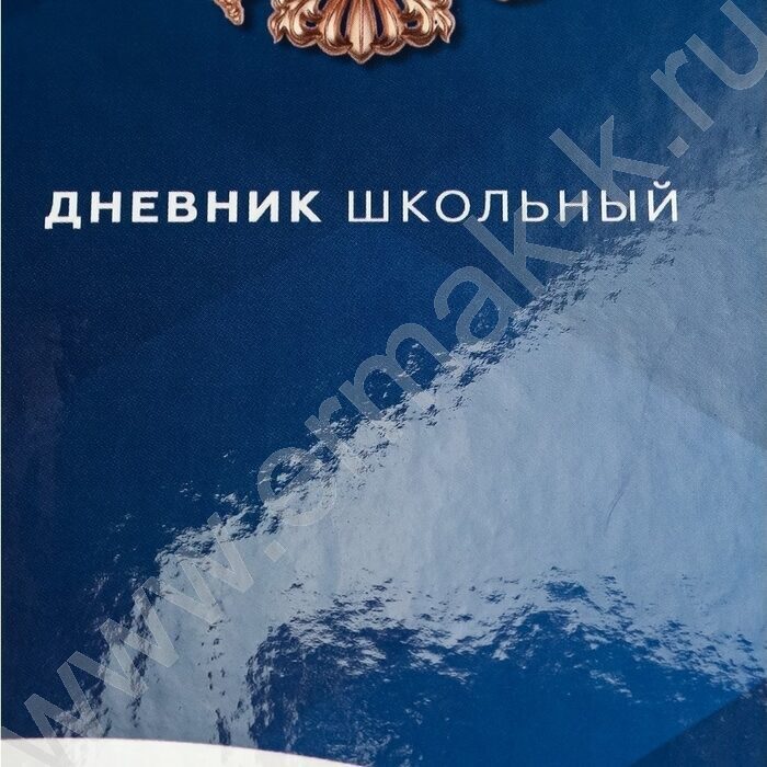 Дневник 5-11кл. /тв.обл./глянец "Герб и флаг-4" NEW | Фото 9