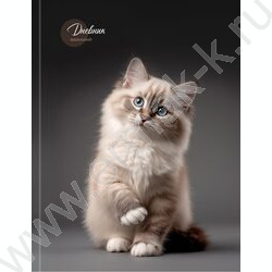 Дневник 5-11кл. /тв.обл./выб.лак. "Милый котик-5" NEW | Фото 2