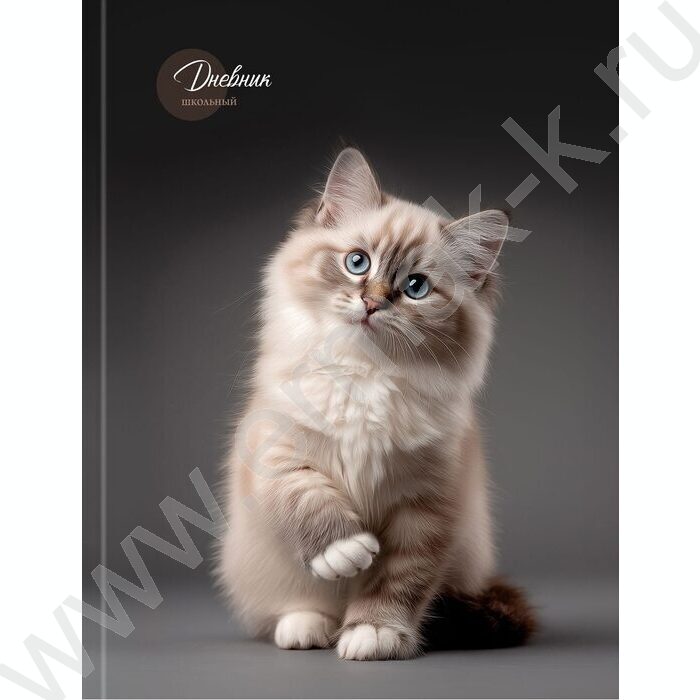 Дневник 5-11кл. /тв.обл./выб.лак. "Милый котик-5" NEW | Фото 2
