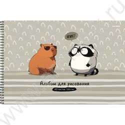 Альбом д/рисования-спираль 40л "Капибара и енот" /мат.лам, выб.лак/ NEW | Фото 1