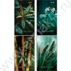 Блокнот  24л А6 "Растительная тема-1" ассорти NEW | Фото 1