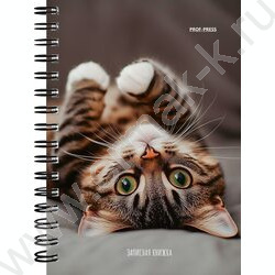 Зап. книжка 120л А6 спираль "Милые котики-6" NEW | Фото 4