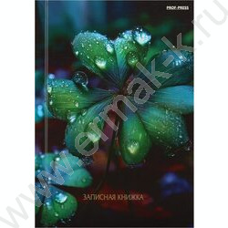 Зап. книжка  80л А6 тв.обл. "Красивая природа-6" /глянец/лен/ NEW | Фото 2