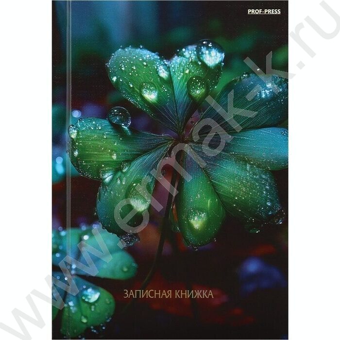 Зап. книжка  80л А6 тв.обл. "Красивая природа-6" /глянец/лен/ NEW | Фото 2