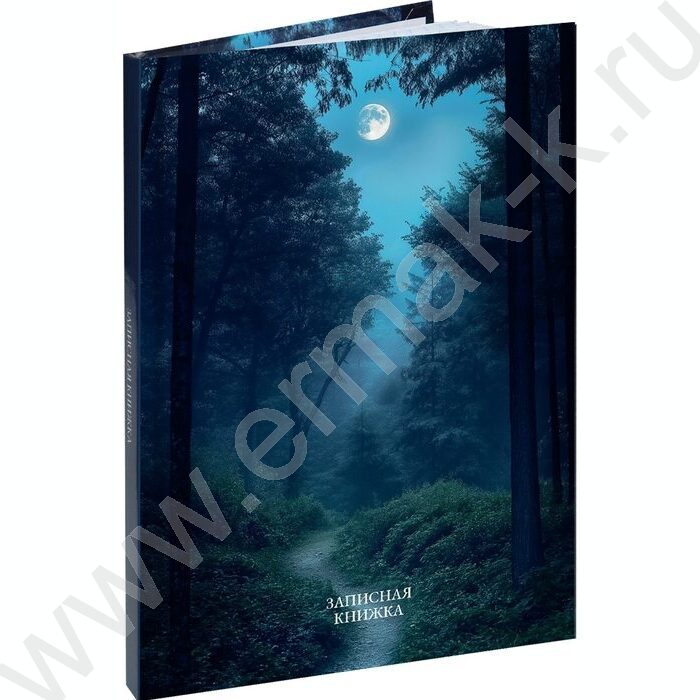 Зап. книжка  96л А6 тв.обл. "Лунные пейзажи-1" /глянец/ NEW | Фото 1