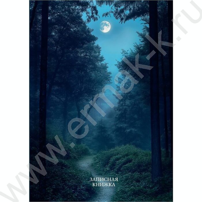 Зап. книжка  96л А6 тв.обл. "Лунные пейзажи-1" /глянец/ NEW | Фото 2