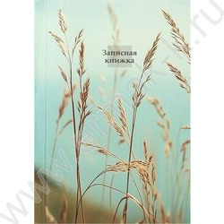 Зап. книжка 160л А6 тв.обл. "Aesthetics-1" /глянец/ NEW | Фото 2