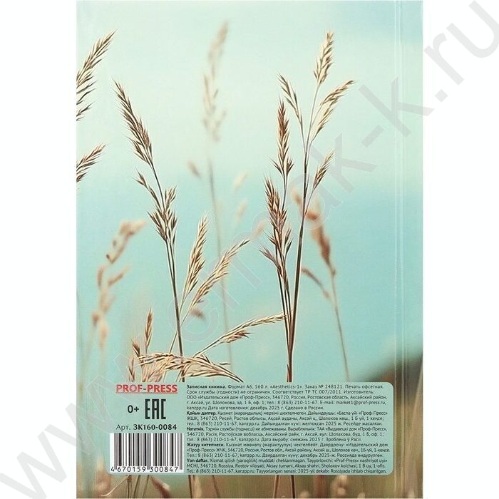 Зап. книжка 160л А6 тв.обл. "Aesthetics-1" /глянец/ NEW | Фото 4